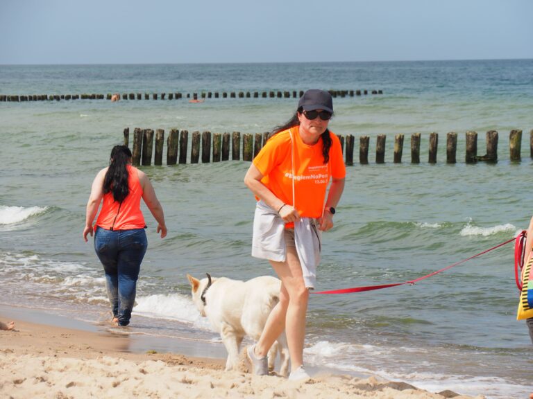 biegiemnapomoc - dogadamycie.pl