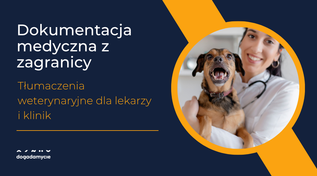 Dokumentacja medyczna z zagranicy – tłumaczenia weterynaryjne dla lekarzy i klinik